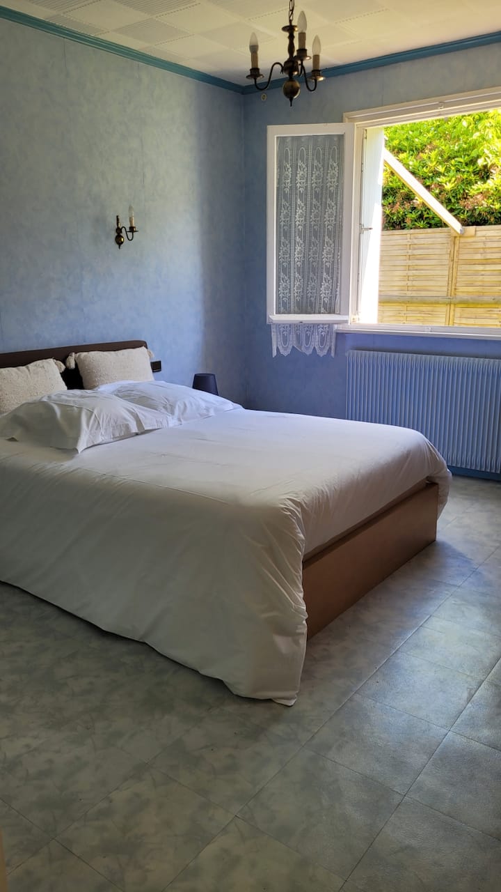 Habitación 1