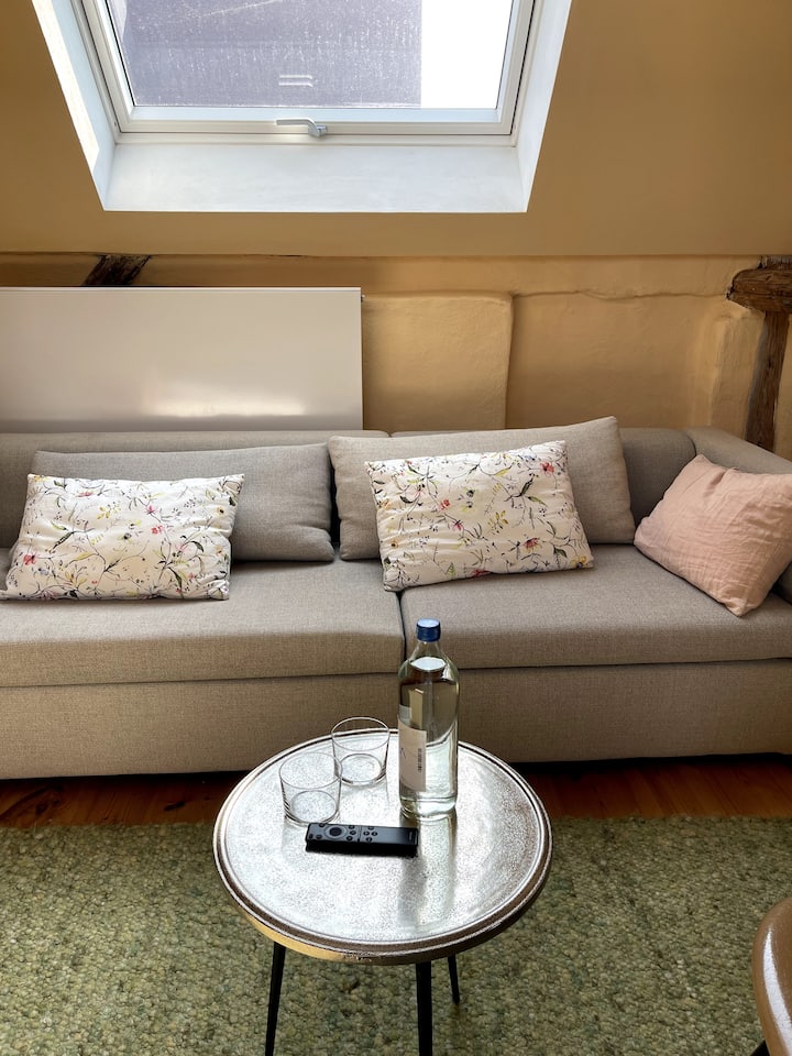 Sofá en una gran sala de estar de estilo abierto