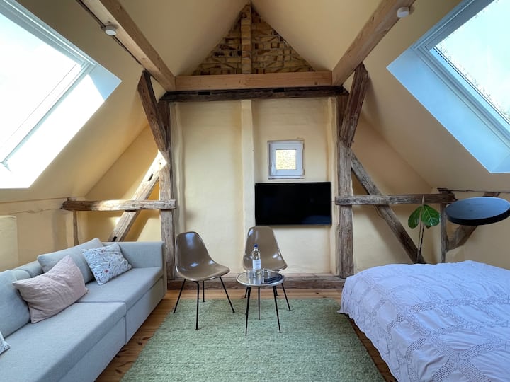 sala de estar y dormitorio abiertos con TV inteligente