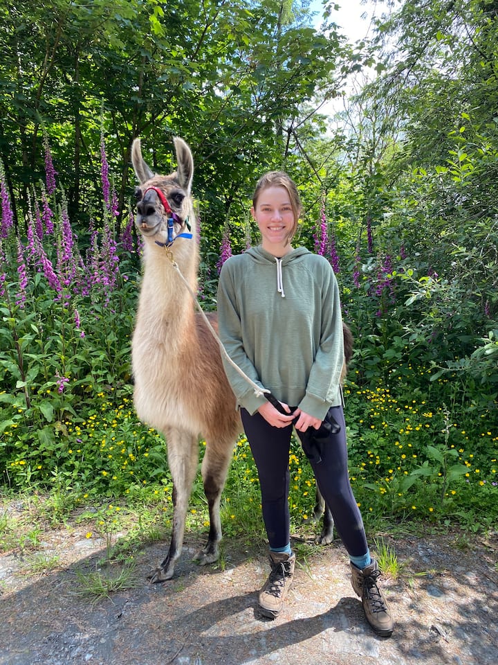 トップス 23AW AUBERGE NEST LLAMA The Llama Lodge - a Log Cabin on a Llama Sanctuary - Cabins for