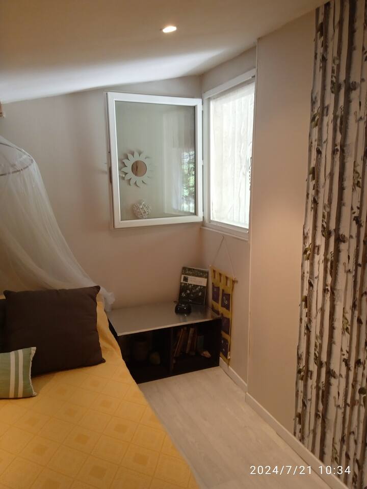 Ventana con mosquitera