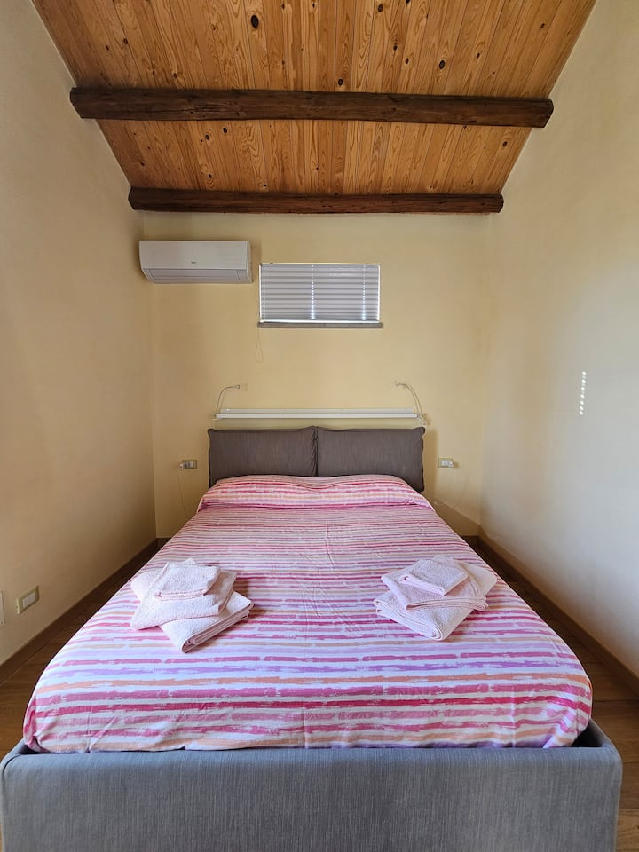 带空调的标准双人床 