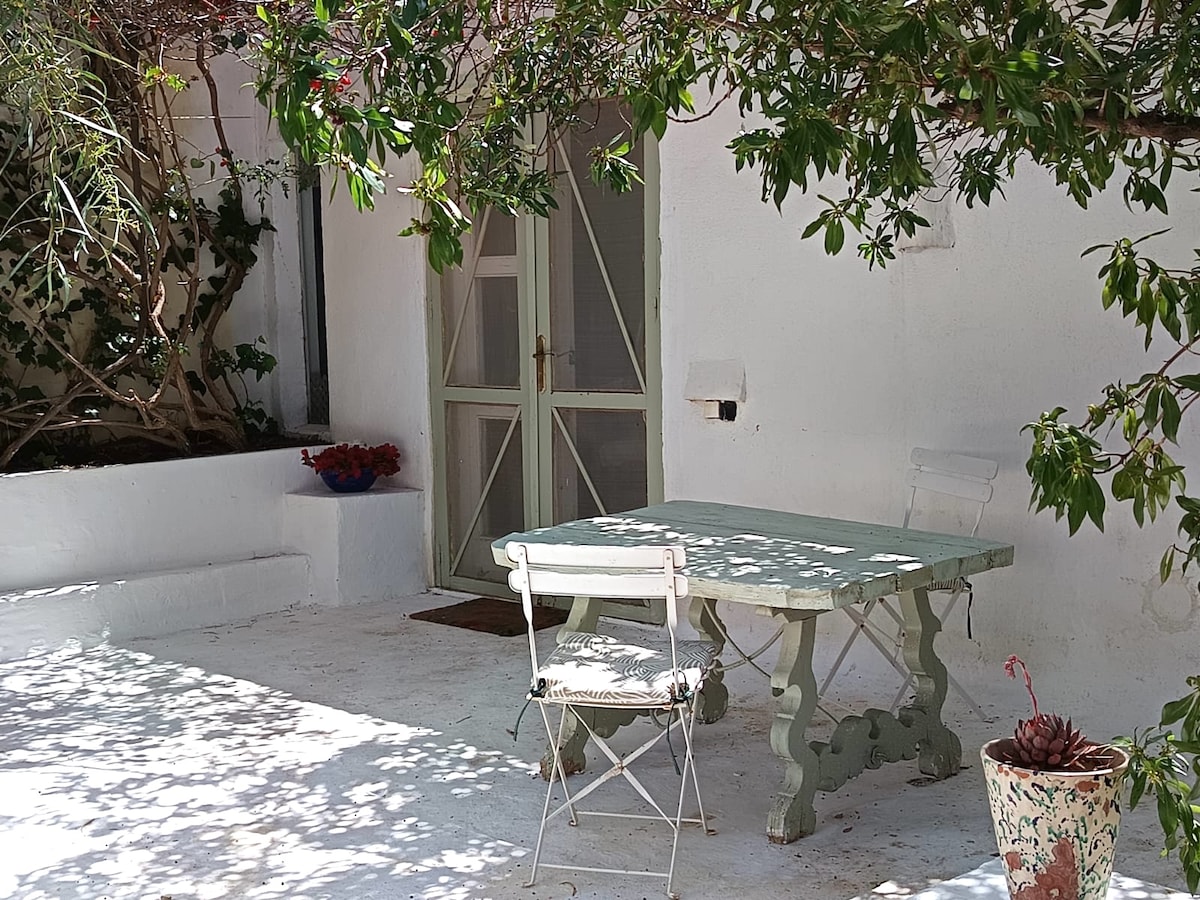 An outdoor seating area features a light green table accompanied by a white chair, shaded by leafy branches overhead. The surrounding white walls and vibrant potted plants enhance the welcoming ambiance, creating a pleasant space for relaxation.