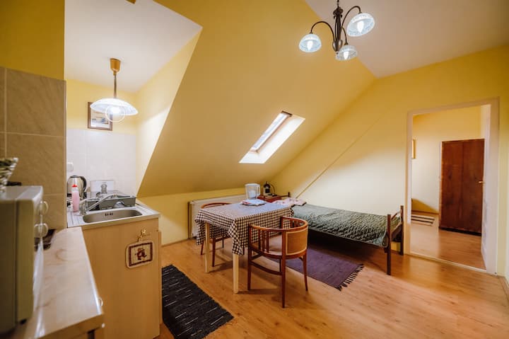 סלון עם מיטה פשוטה ומטבחון