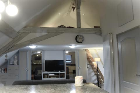 Successful Airbnb property: Cozy duplex on the edge of the New Basin, air-conditioned in Mulhouse