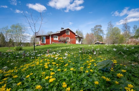 Lovely cottage (bath & fishing)