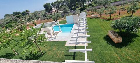 Villa Serena pool among olive trees,6 km from the beach