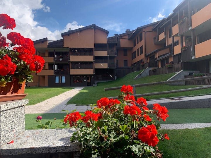 A well-maintained outdoor area features vibrant red flowers in planters, complemented by a grassy expanse. The surrounding buildings showcase multiple balconies and a harmonious arrangement, creating a welcoming outdoor ambiance. Pathways lead through the space, enhancing accessibility.
