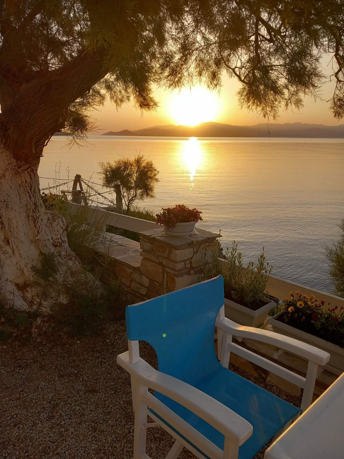 A serene waterfront view features a vibrant blue chair positioned near a stone wall. Sunlight reflects off the calm water, creating a warm golden hue. Lush greenery and colorful flowers surround the area, enhancing the natural beauty of the seaside setting.