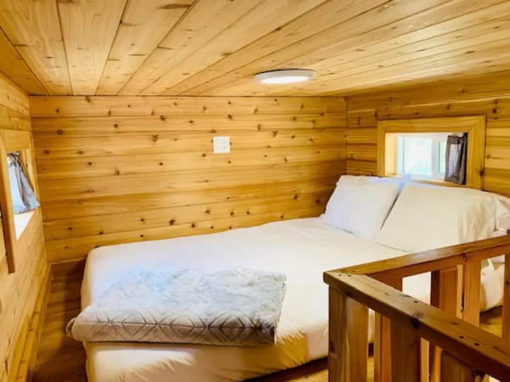 Bedroom area
