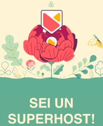 Grande appartamento con tre terrazze. gallery image 4