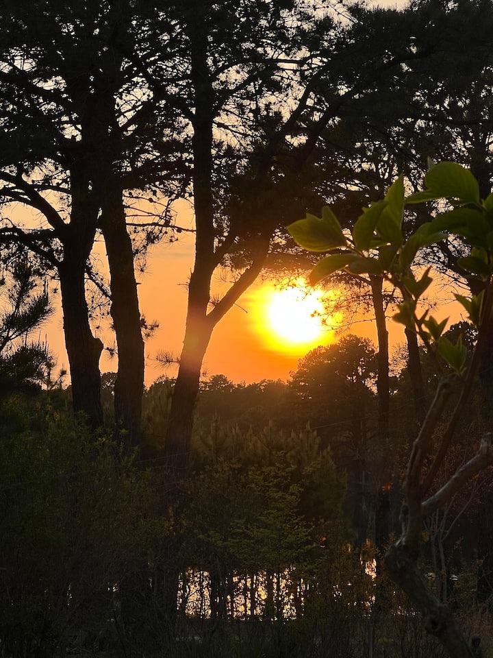 Strathmere Vacation Rentals Houses and More Airbnb