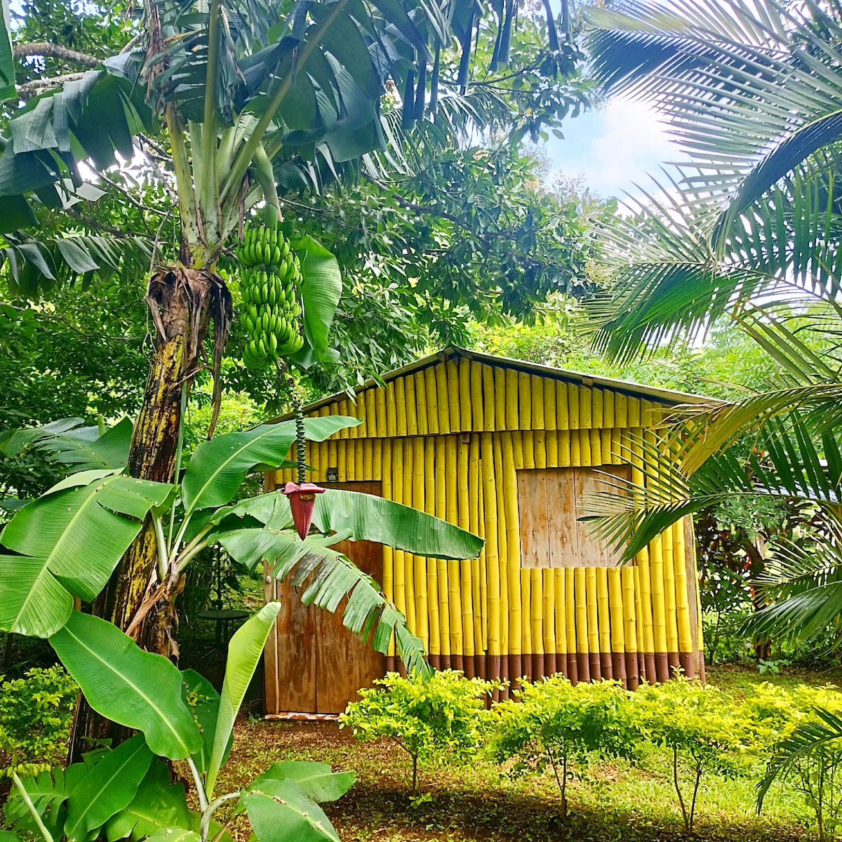A charming bamboo cabin is surrounded by lush greenery and palm trees. The cabin's exterior features vibrant yellow bamboo walls and a wooden door. Bushes and banana plants create a tropical atmosphere, inviting a sense of tranquility in the natural setting.