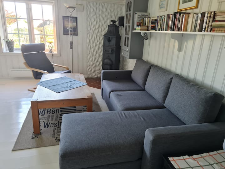 Sofa ya kupumzika ambayo inaweza kubadilishwa kuwa kitanda cha sofa ikiwa inataka (upana wa sentimita 140)