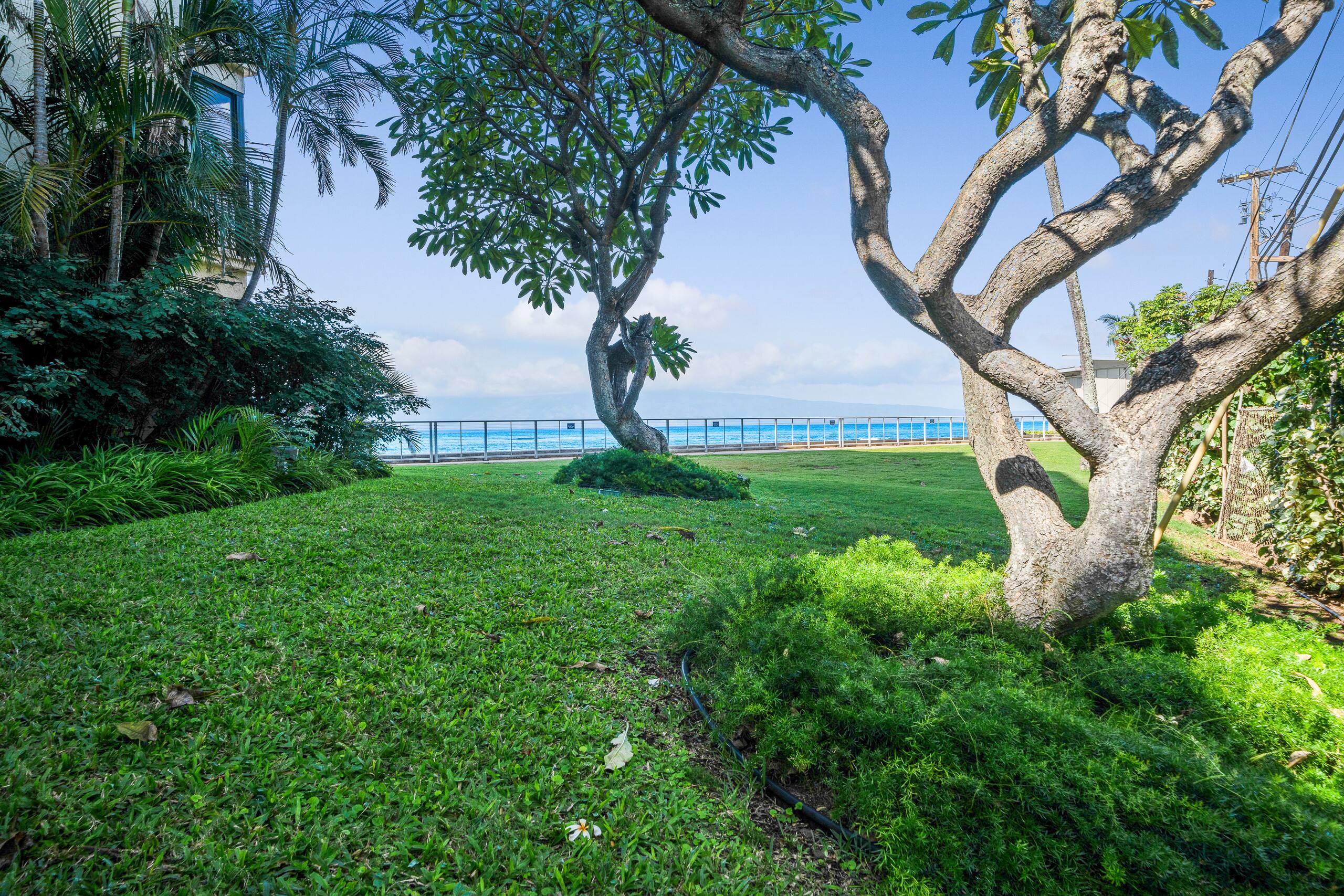Condo in Lahaina · ★4.8 · 2 bedrooms · 4 beds · 2 baths - Image 38