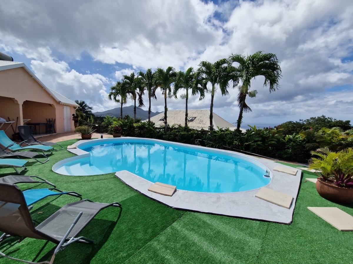 A serene outdoor space features a curved swimming pool surrounded by lush greenery and palm trees. Chaise lounges are positioned around the pool area, providing a place to relax. The backdrop includes a view of tropical hills under a partly cloudy sky.