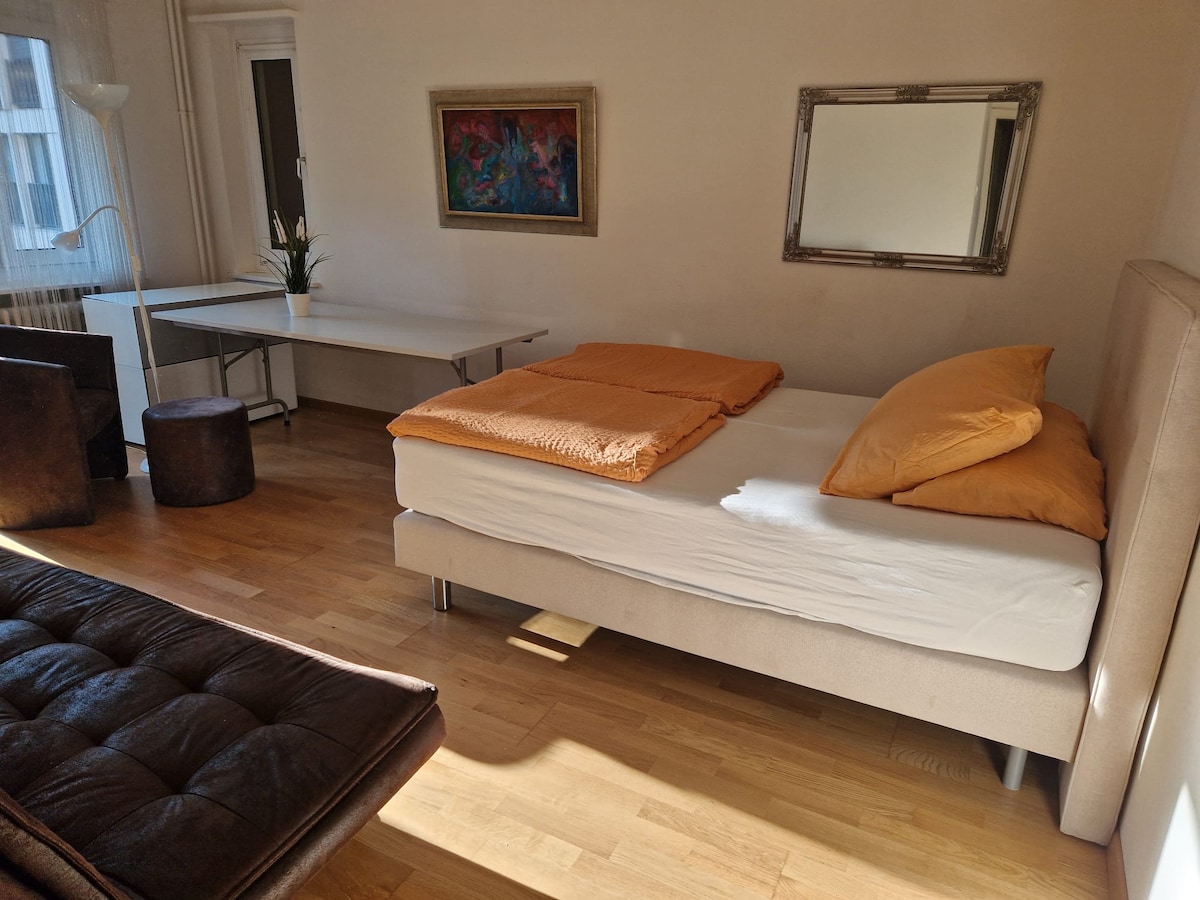1.5 Zimmer möbliert · Zürich, Zürich