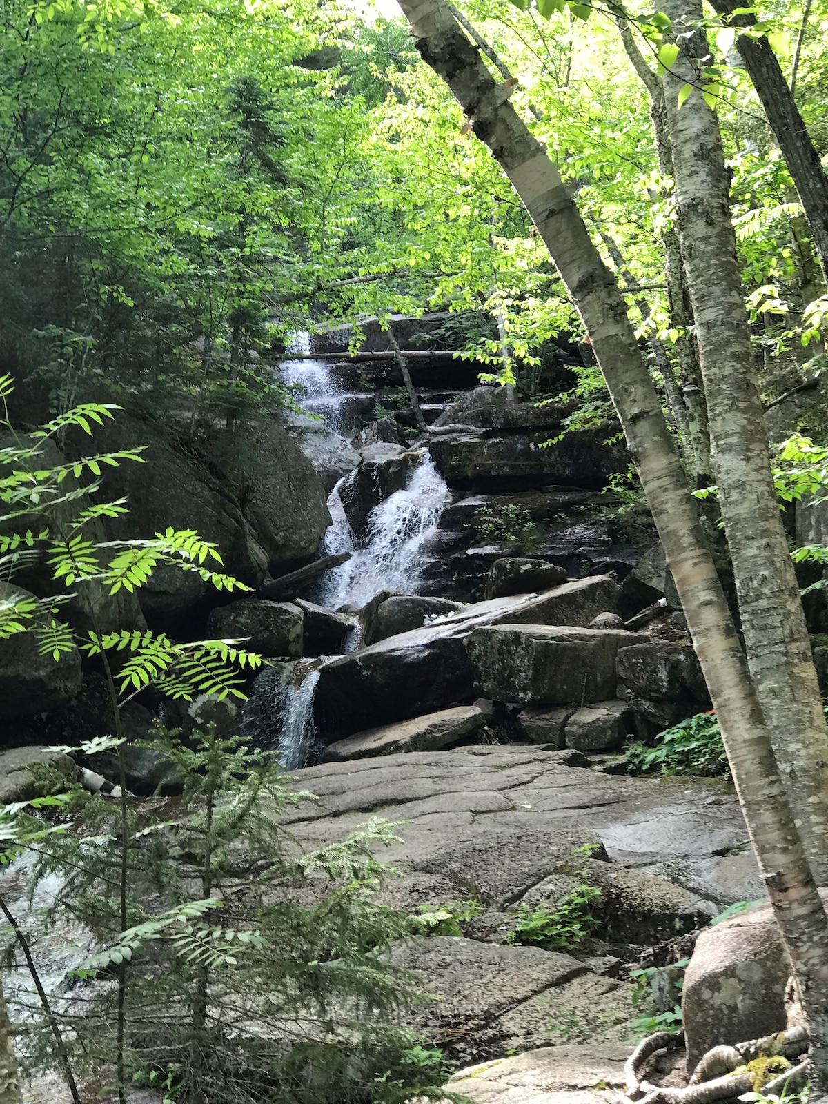A serene waterfall cascades over large granite rocks, surrounded by lush greenery. Tall trees frame the scene, with vibrant leaves filtering sunlight. Water flows gently into a small pool, creating a peaceful atmosphere amidst the natural landscape.