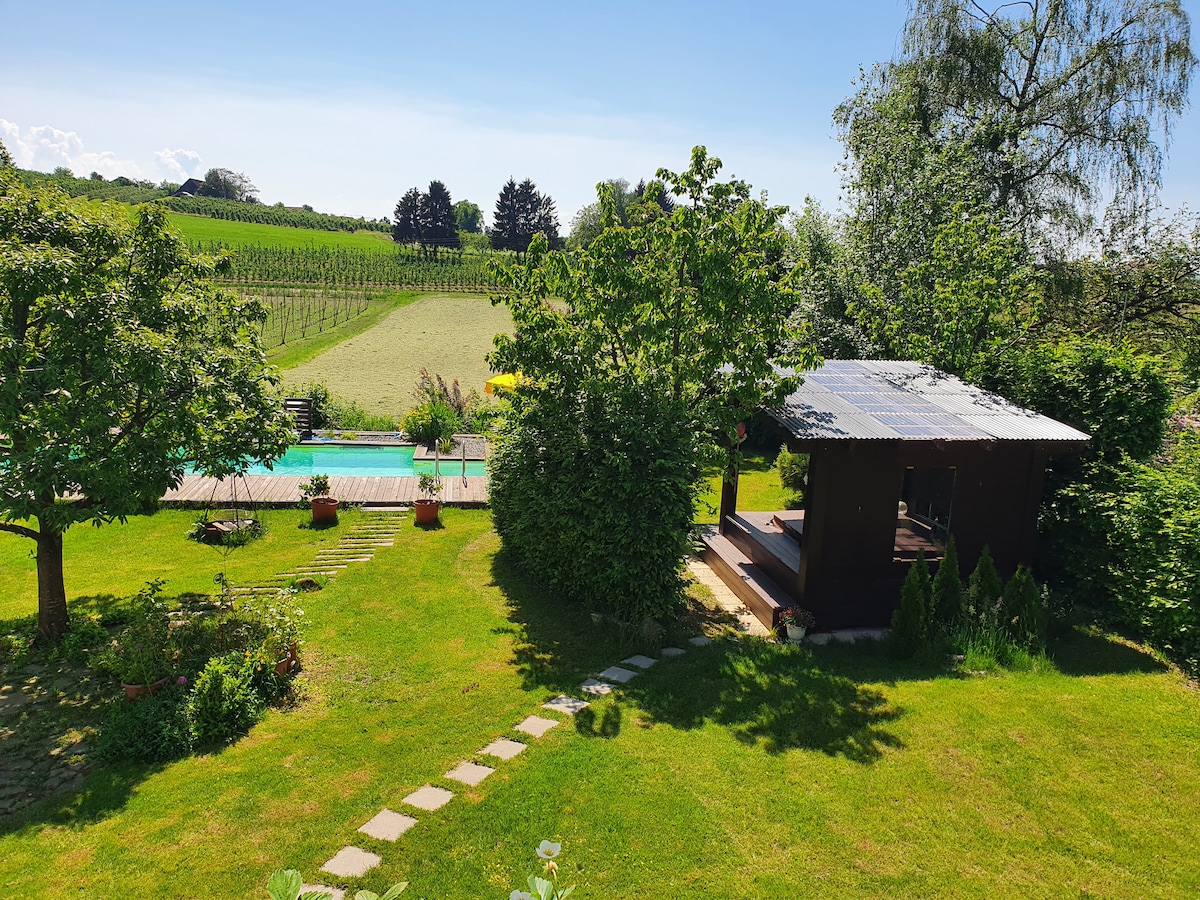 A serene garden setting features a wooden pool deck alongside a crystal-clear bio-pool. Lush greenery surrounds the area, including various trees and landscaped plants. A cozy pavilion offers shaded seating space, creating an inviting retreat in this tranquil outdoor space.