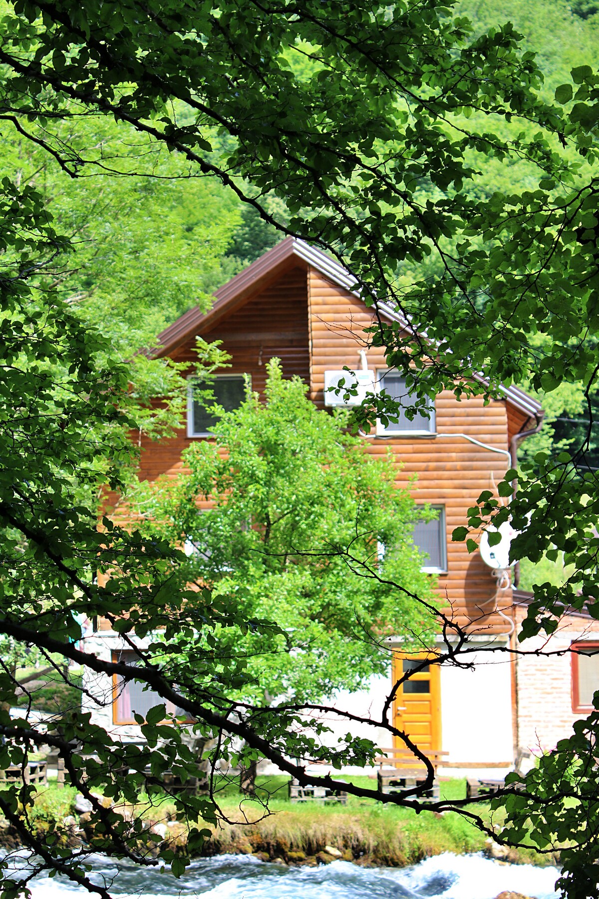 A wooden building is nestled among green trees, showcasing its unique architecture. The structure features large windows and a warm color palette. A gentle stream flows nearby, enhancing the serene natural setting.