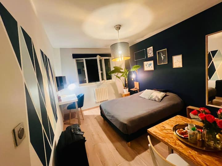 🐾 Appartement Cosy Lille Centre Marine - ibis Lille Lomme Centre
