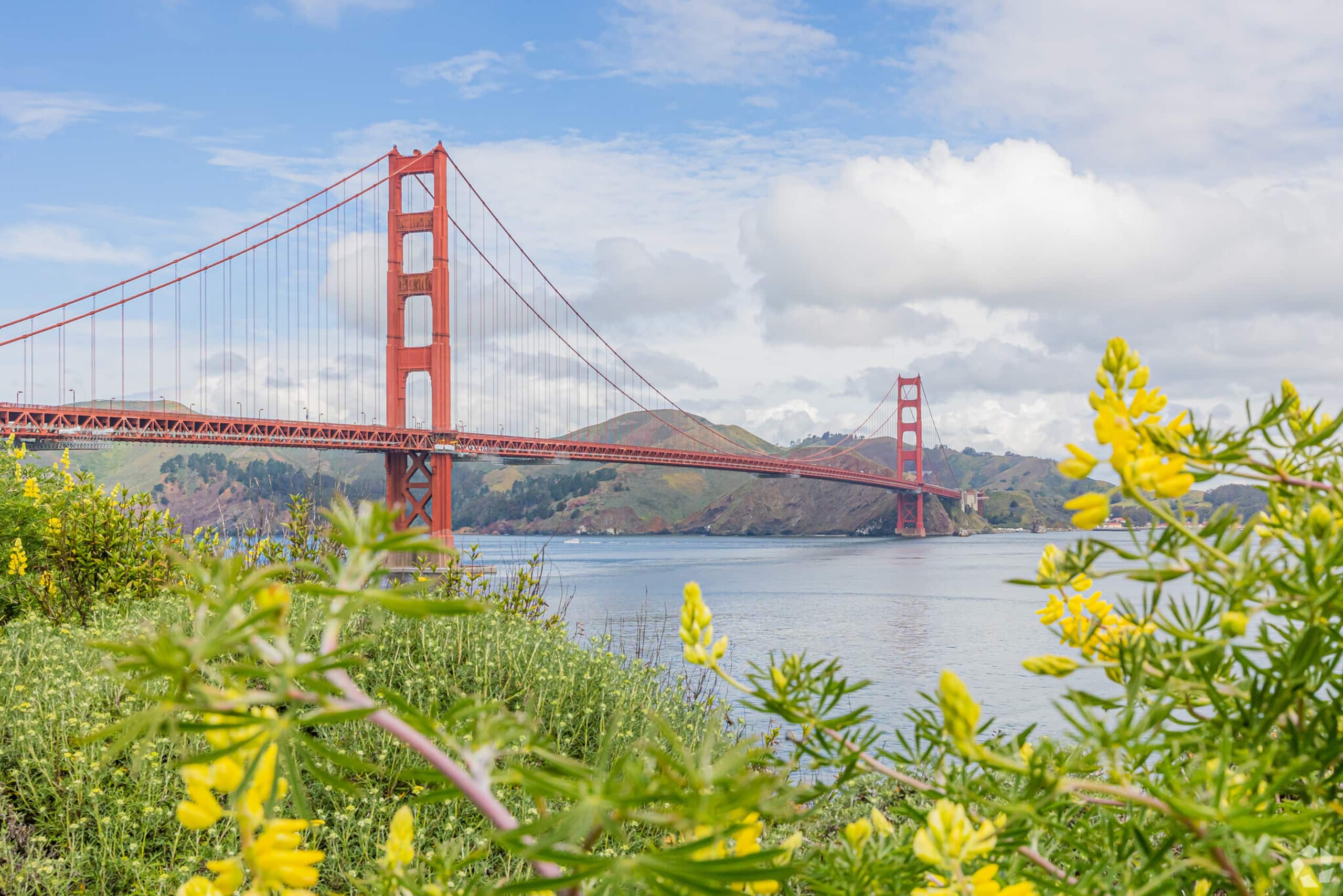 Condo in San Francisco · ★4.98 · Studio · 1 bed · 1 bath - Image 35