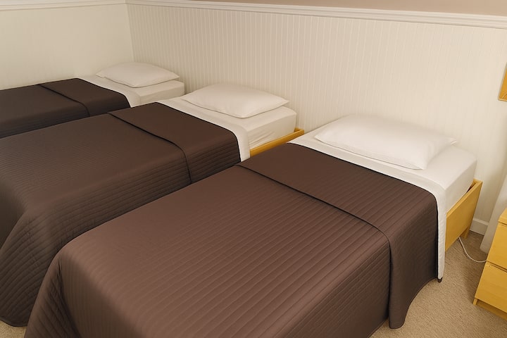 ฝาแฝด 3 คน