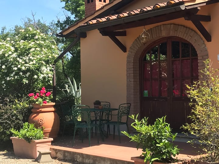 Podere San Lorenzo Campagna Toscana ( Tuscany) - Terranuova Bracciolini