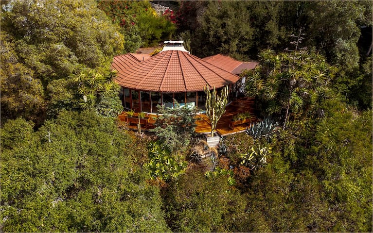 MidCentury treetop house, view, privacy. 30+days gallery image 2
