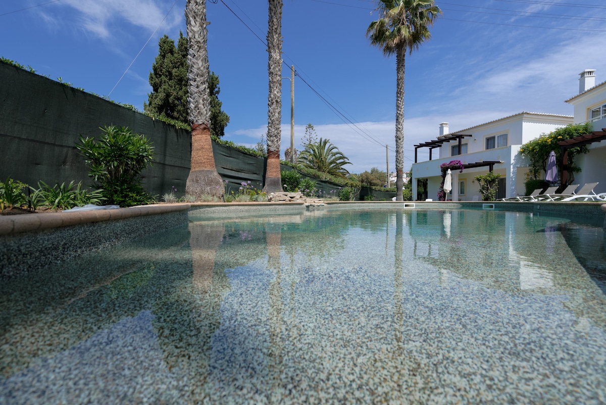 The refreshing pool is surrounded by lush greenery, including tall palm trees. The water's surface reflects the clear blue sky, while a patio area with seating is visible nearby, offering a tranquil setting for relaxation.