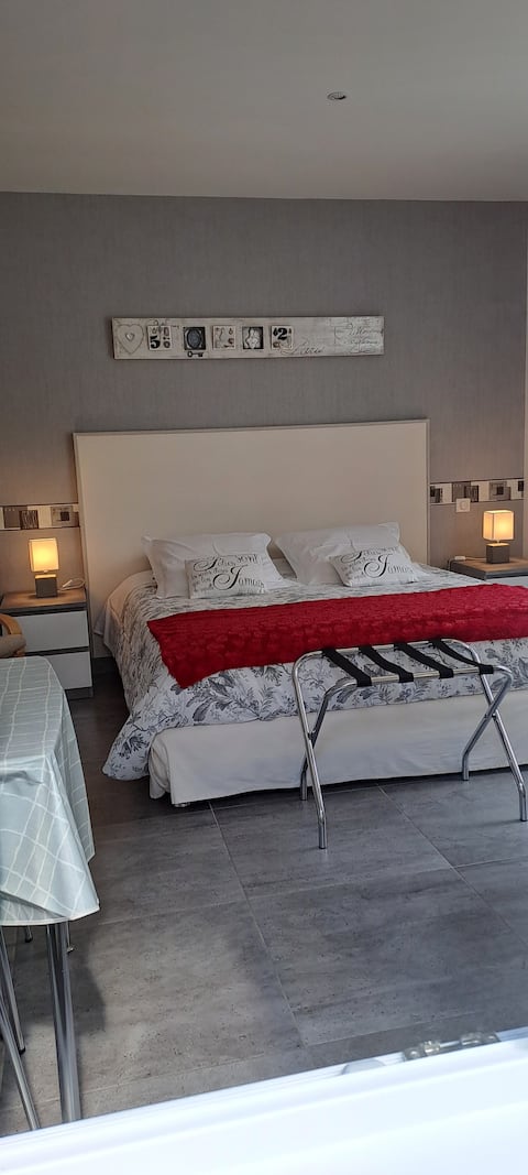 Top performing Airbnb: studio classified 3* Val de Loire tourism in Mont Près Chambord