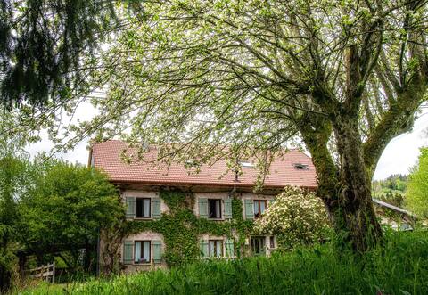 Gîte 11 p, sauna, fireplace, catamaran net, cabin