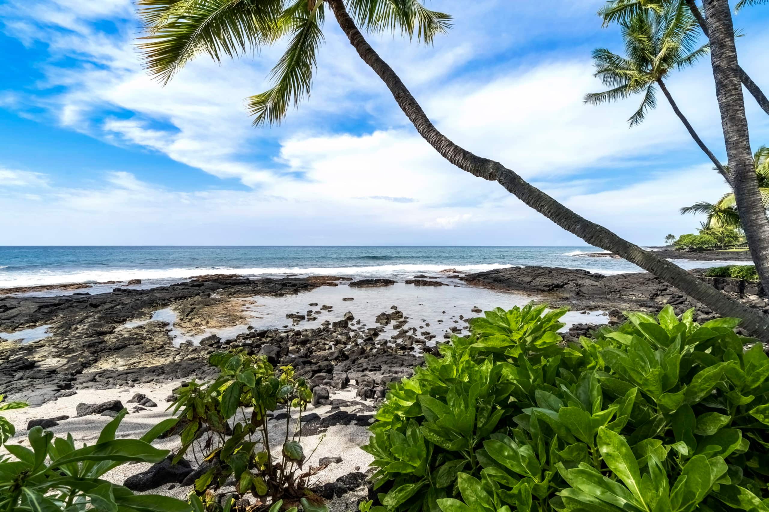 Condo in Kailua-Kona · ★4.98 · 2 bedrooms · 2 beds · 2 private baths - Image 48