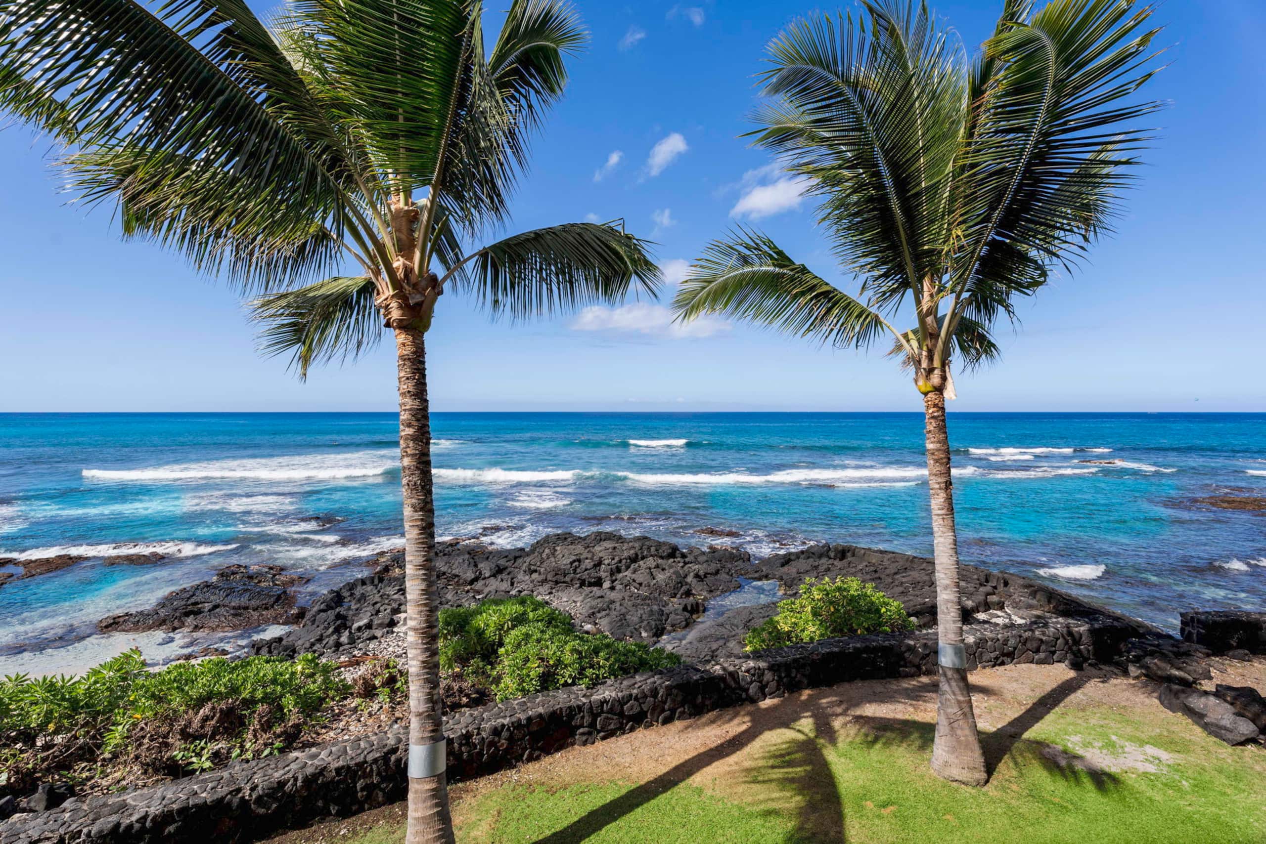 Condo in Kailua-Kona · ★4.98 · 2 bedrooms · 2 beds · 2 private baths - Image 50