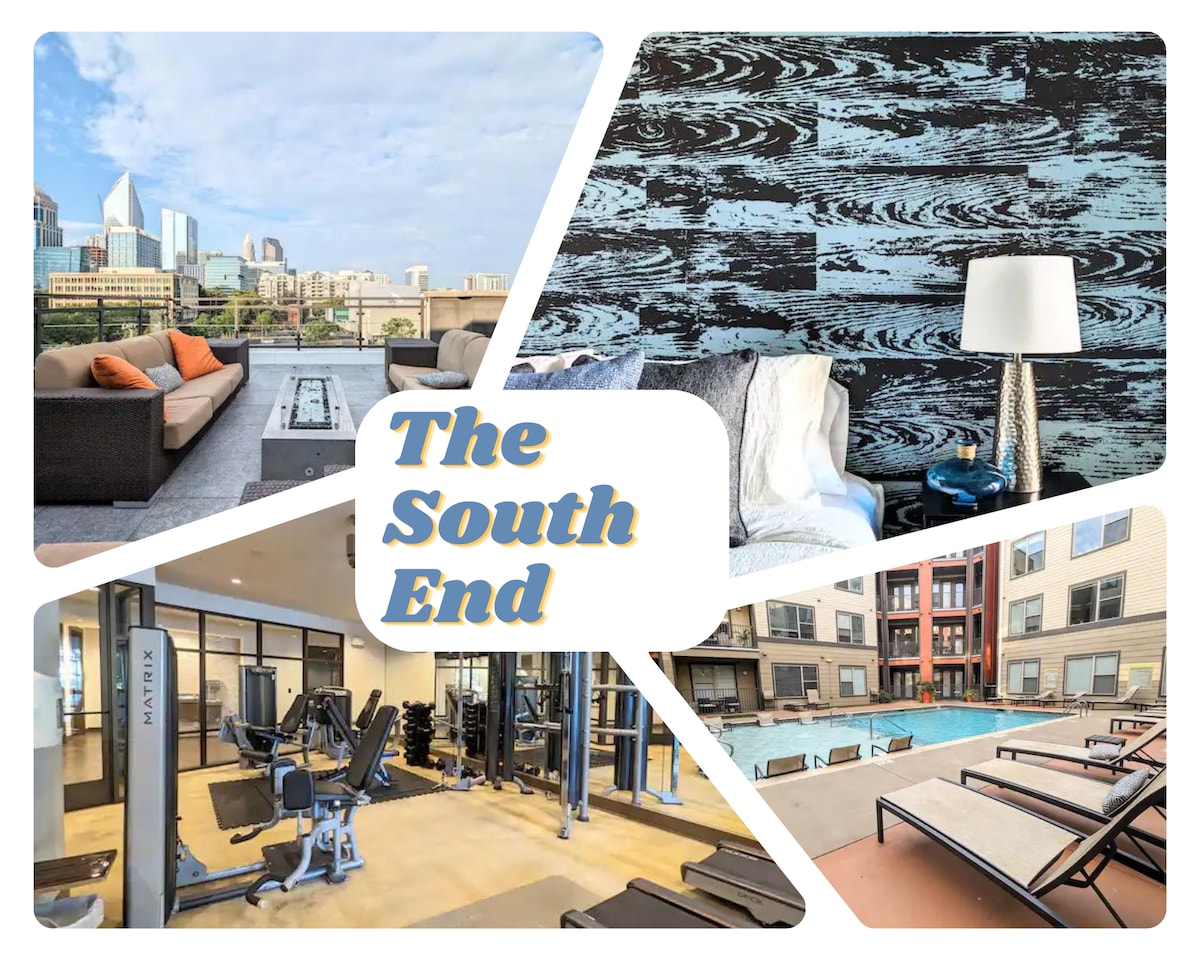 A panoramic view of the city skyline is captured from a rooftop patio, featuring comfortable seating arrangements and a coffee table. An indoor living area displays a well-lit space with a bedside lamp and decorative wall art. A modern fitness center is equipped with various workout machines, while a bright outdoor pool area invites relaxation.