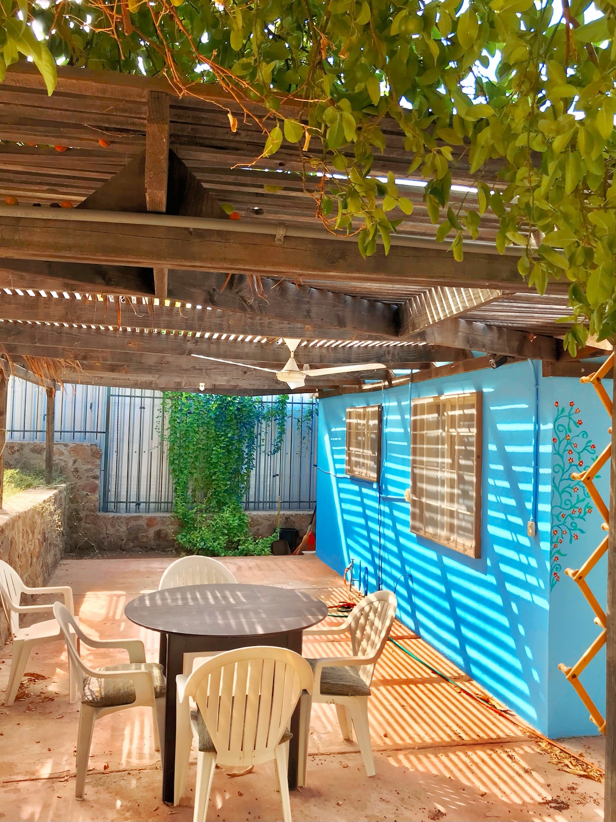 A private patio area features a circular table surrounded by white chairs. Shade is provided by trellises and overhanging greenery, with sunlight casting striped patterns on the ground. A cool blue wall enhances the serene setting, creating a relaxed atmosphere for outdoor gatherings.