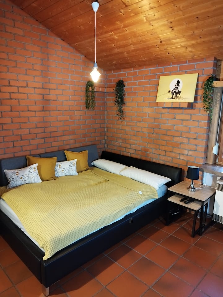 Queensize-Lederbett/Couch