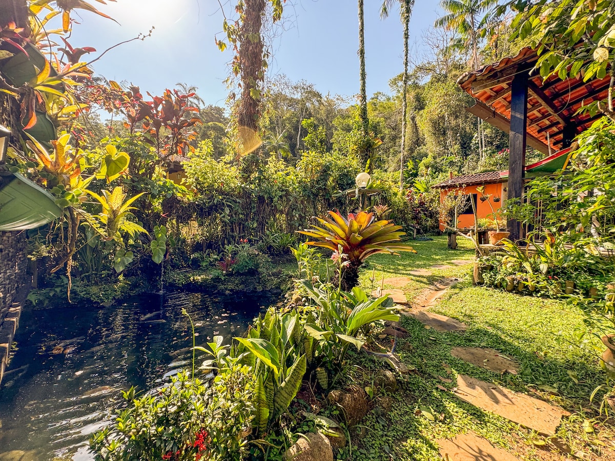A lush garden surrounds a serene pond, with diverse tropical plants and flowers thriving in the sunlight. Paths made of stepping stones weave through the greenery, leading to vibrant buildings in the background, all set against a backdrop of tall trees and blue skies.