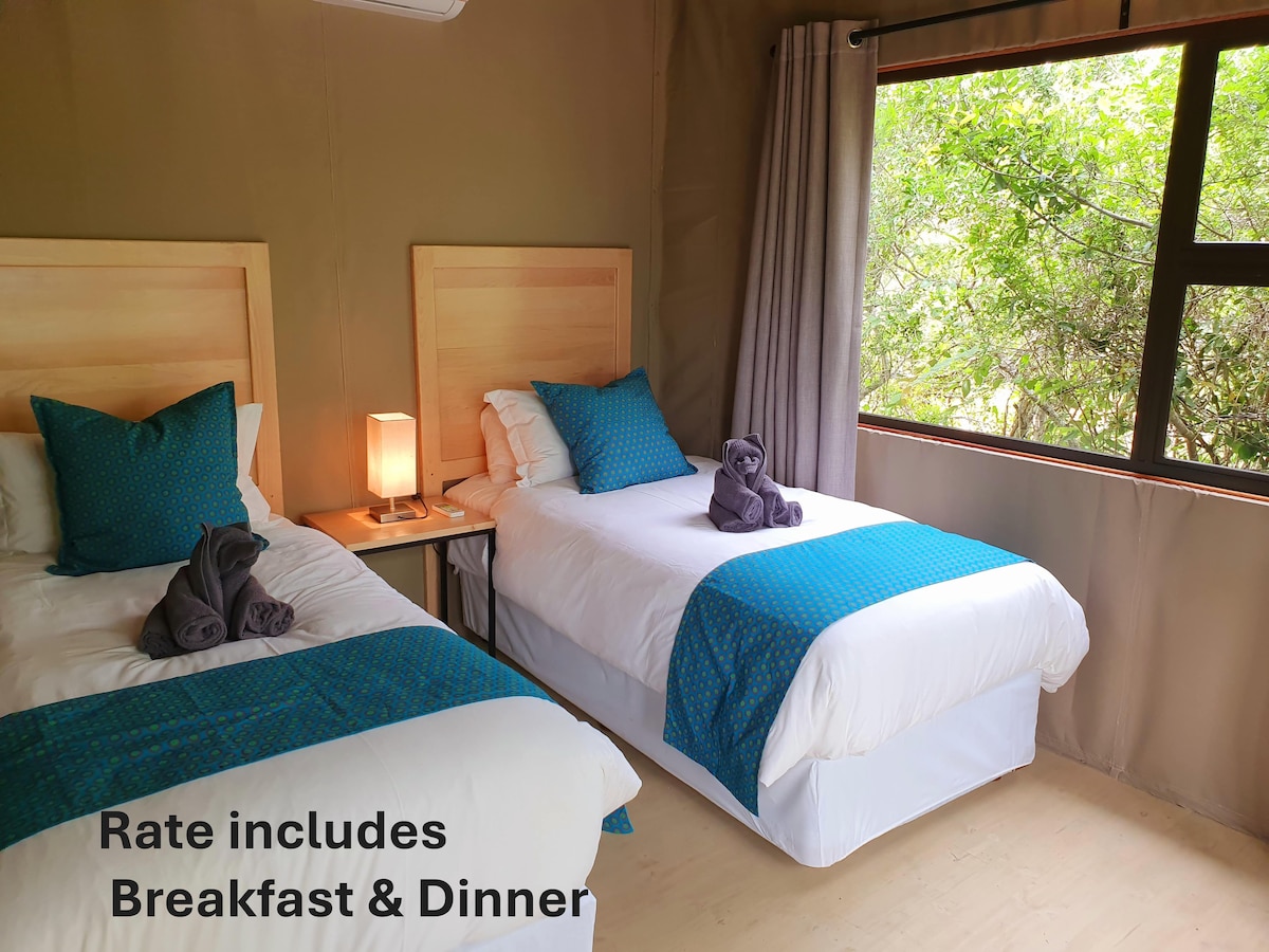 A well-appointed sleeping area features two twin beds topped with turquoise bed runners and plush pillows. A pair of towel elephants are delicately arranged on each bed. Natural light floods the space through a large window, framed by light gray curtains.