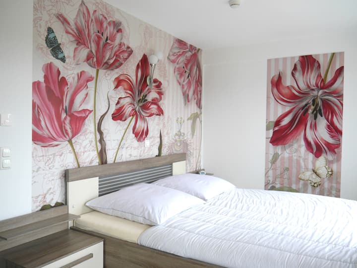 Chambre 2