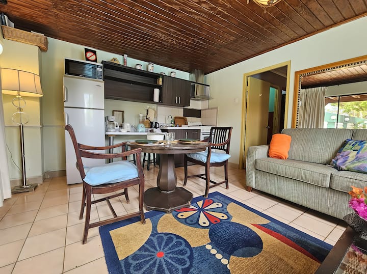 Ruime woonkamer met volledig uitgeruste keuken