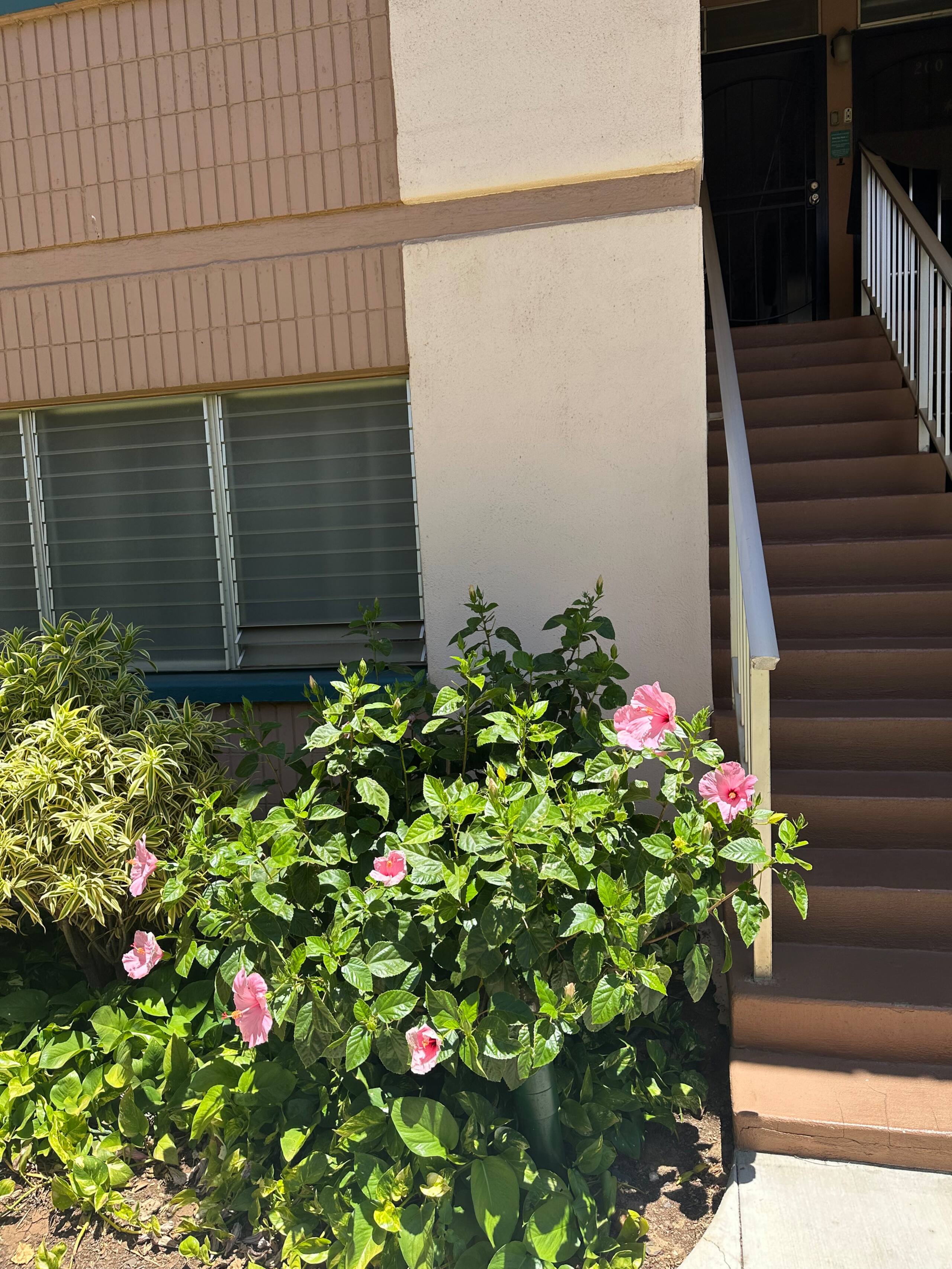Condo in Kihei · ★4.88 · 1 bedroom · 3 beds · 1 private bath - Image 10