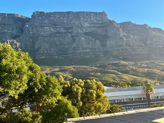Sun-Drenched Apartment Overlooking Table Mountain gallery image 3
