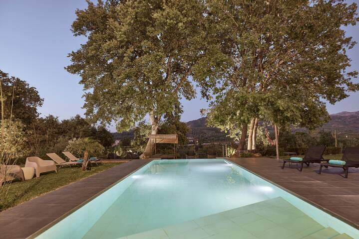Villa Fuerte, FREE airport shuttle, Pool, Gym, BBQ gallery image 3