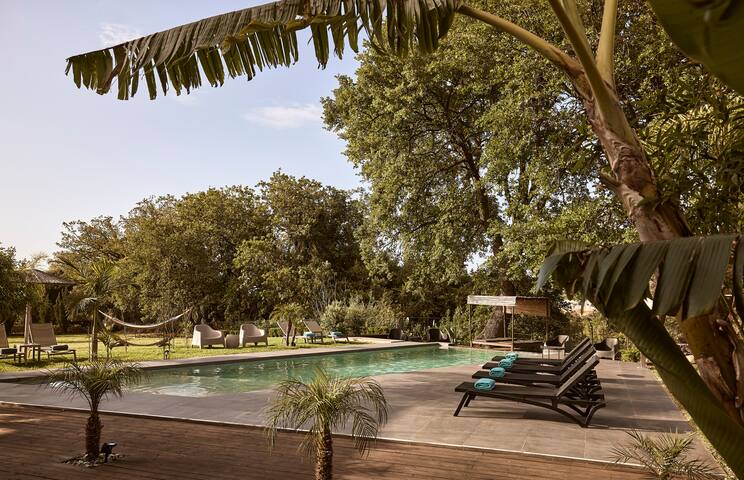 Villa Fuerte, FREE airport shuttle, Pool, Gym, BBQ gallery image 4