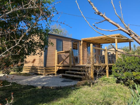 At Gabriel and Julie's