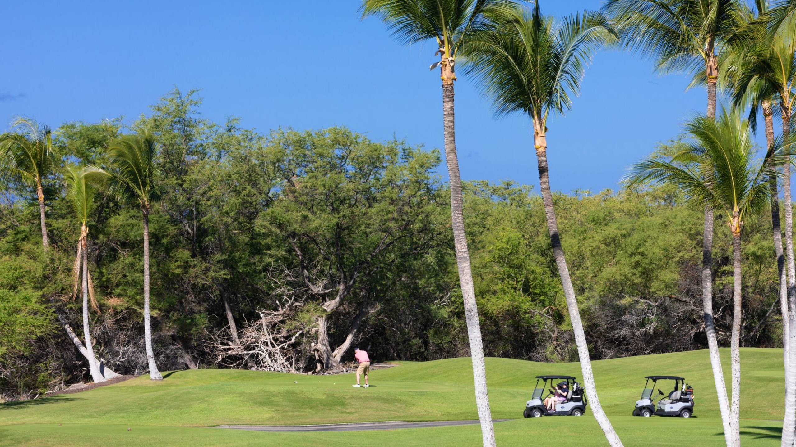 Home in Waimea · ★4.86 · 3 bedrooms · 5 beds · 3 baths - Image 30