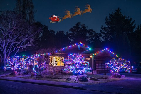 Zen Meets Pool Retreat!