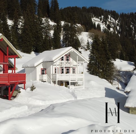 Beautiful chalet with jacuzzi close to slopes !