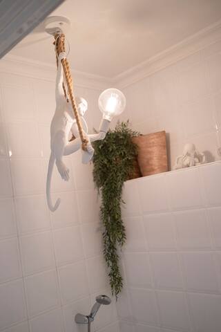 Clifton YOLO Spaces – Clifton Boutique Apartment B gallery image 5